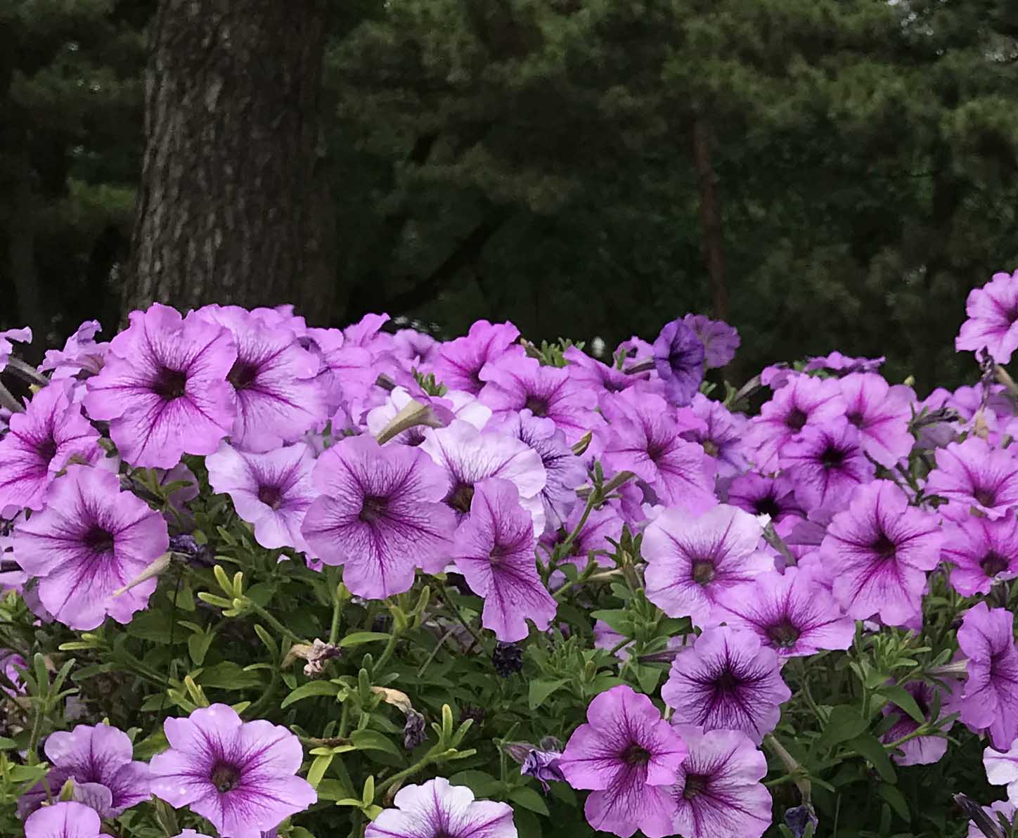 歲月長(zhǎng)歌！